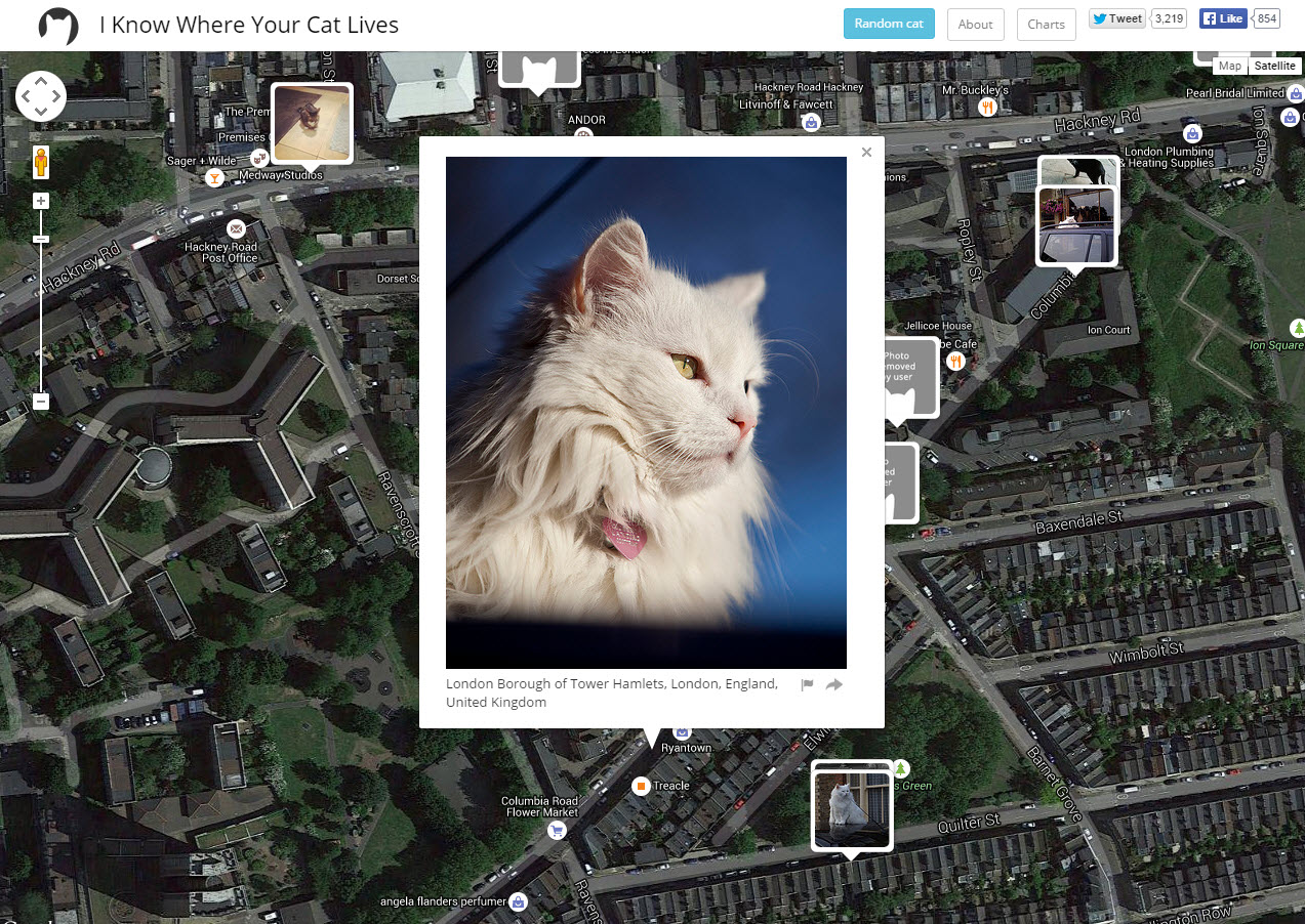 I Know Where Your Cat Lives, Hackney, 2015 © Owen Mundy